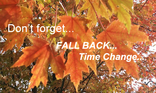 Fall Back Time Change